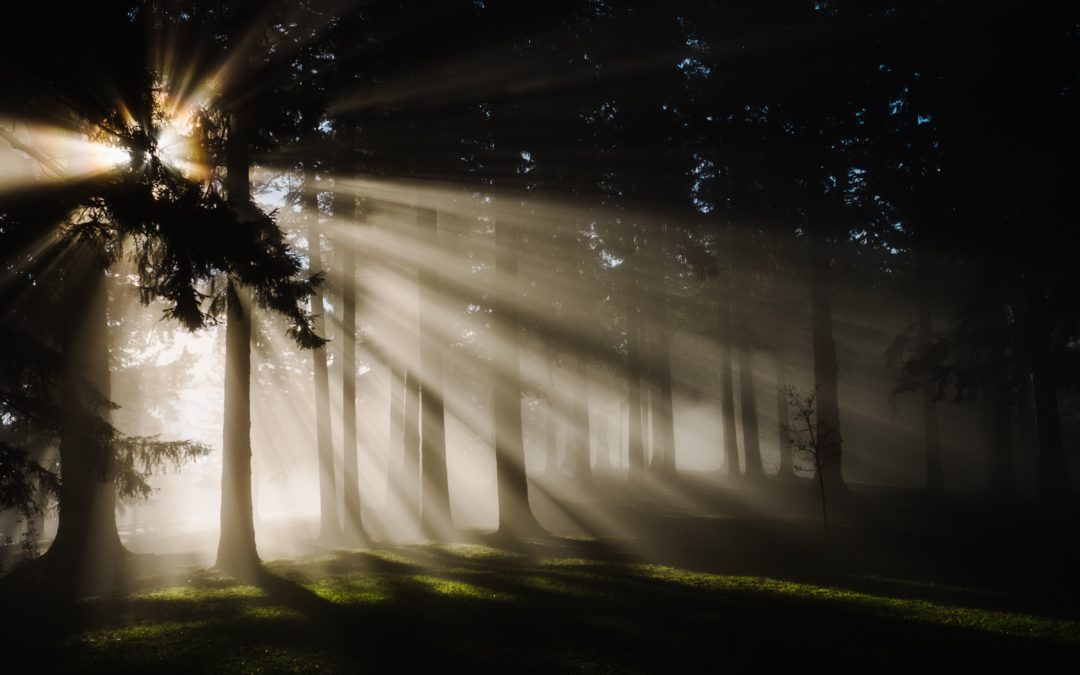 Living in God’s presence. A reflection on sabbatical.