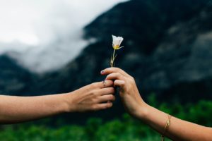 A flower being passed from hand to hand