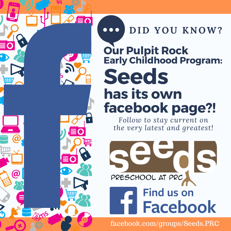 Seeds FB promo