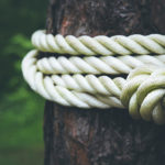 a rope wrapped around a tree